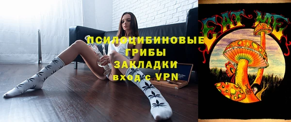 дживик Алексин