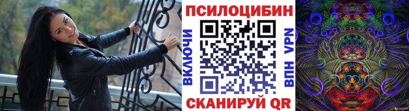 Псилоцибиновые грибы Cubensis  где купить   Кулебаки 